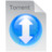 torrent file Icon